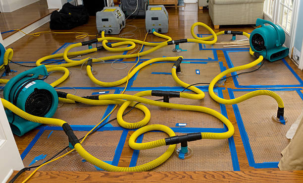 Professional Water Damage Restoration technician working in Greenacres, FL